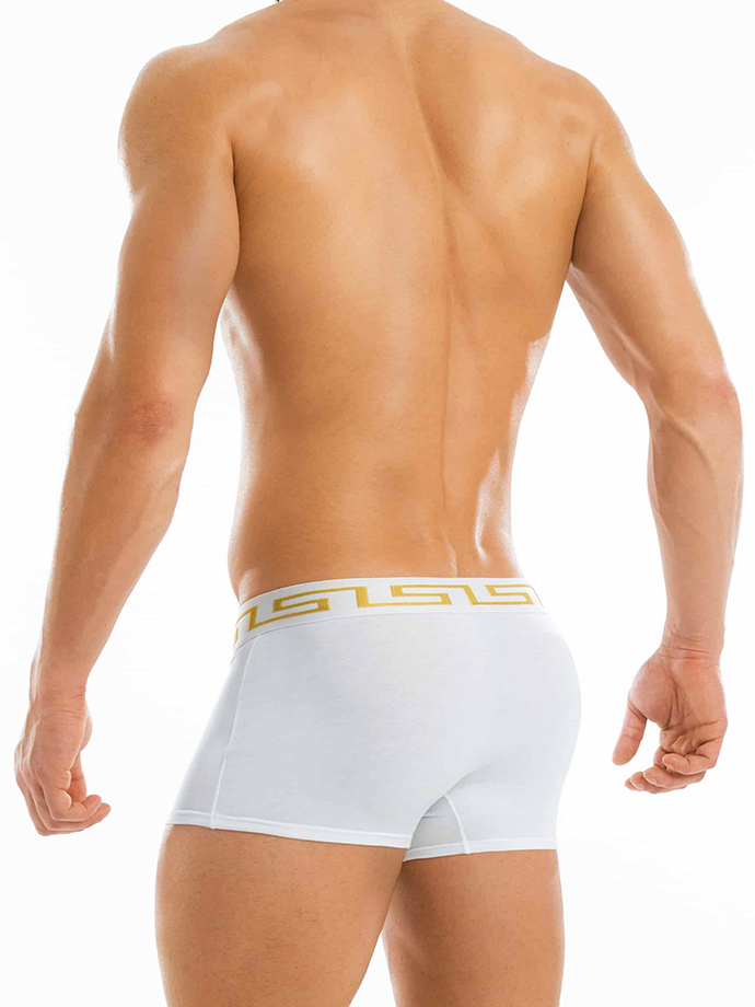 https://www.poppers-italia.com/images/product_images/popup_images/11621-modus-vivendi-meander-boxer-white__3.jpg