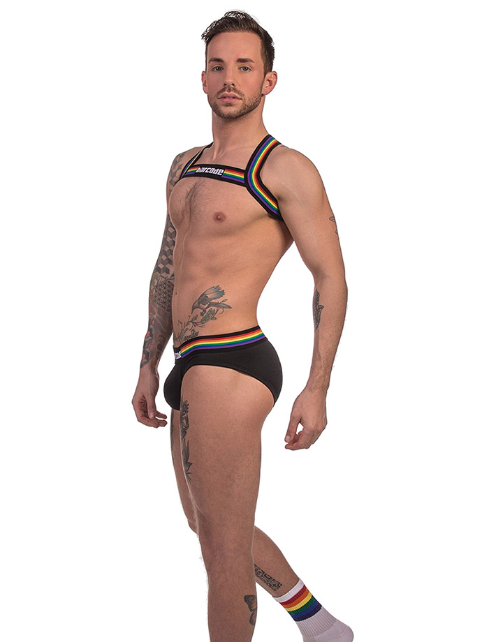 https://www.poppers-italia.com/images/product_images/popup_images/91745-harness-black-pride-barcode-berlin__1.jpg