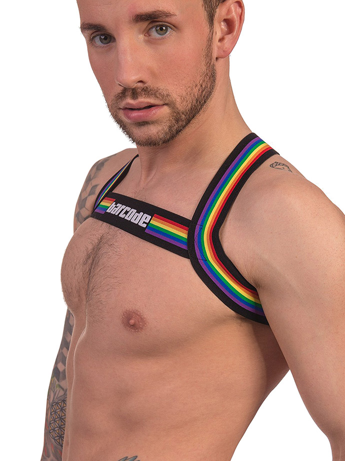https://www.poppers-italia.com/images/product_images/popup_images/91745-harness-black-pride-barcode-berlin__2.jpg