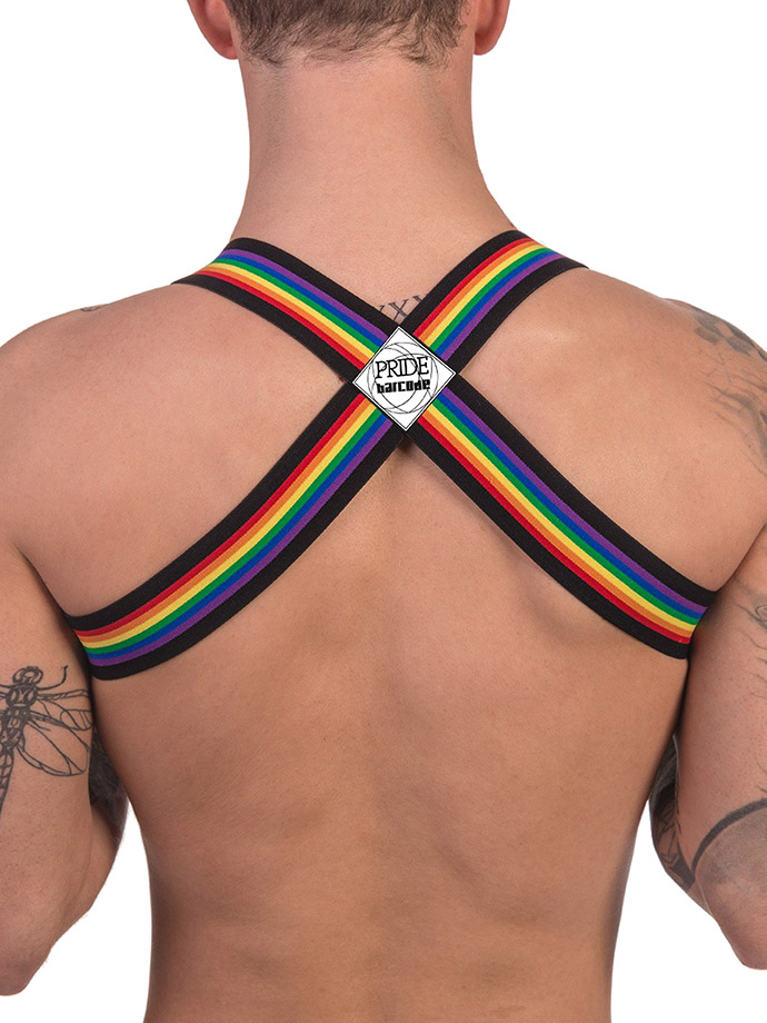 https://www.poppers-italia.com/images/product_images/popup_images/91745-harness-black-pride-barcode-berlin__3.jpg