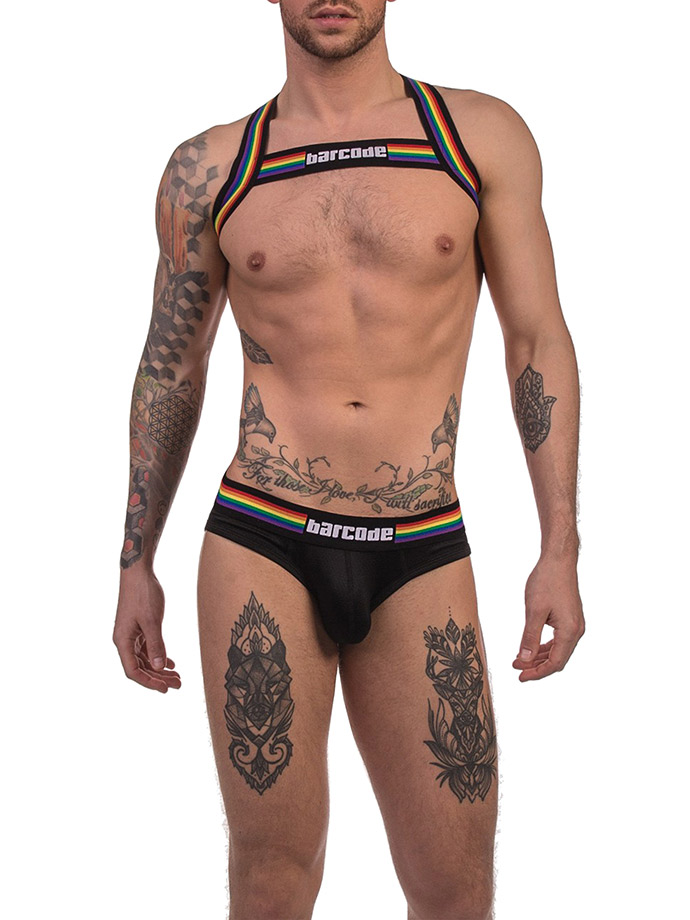 https://www.poppers-italia.com/images/product_images/popup_images/91745-harness-black-pride-barcode-berlin__4.jpg