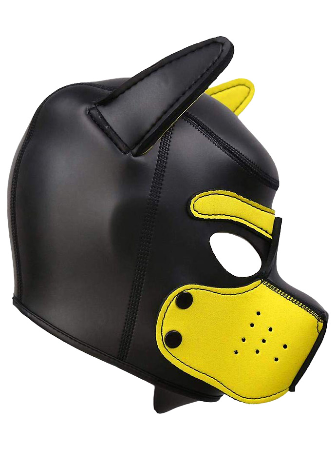 https://www.poppers-italia.com/images/product_images/popup_images/SM-625-maske-hund-dog-petplay-ohren-latex-neopren-yellow__2.jpg