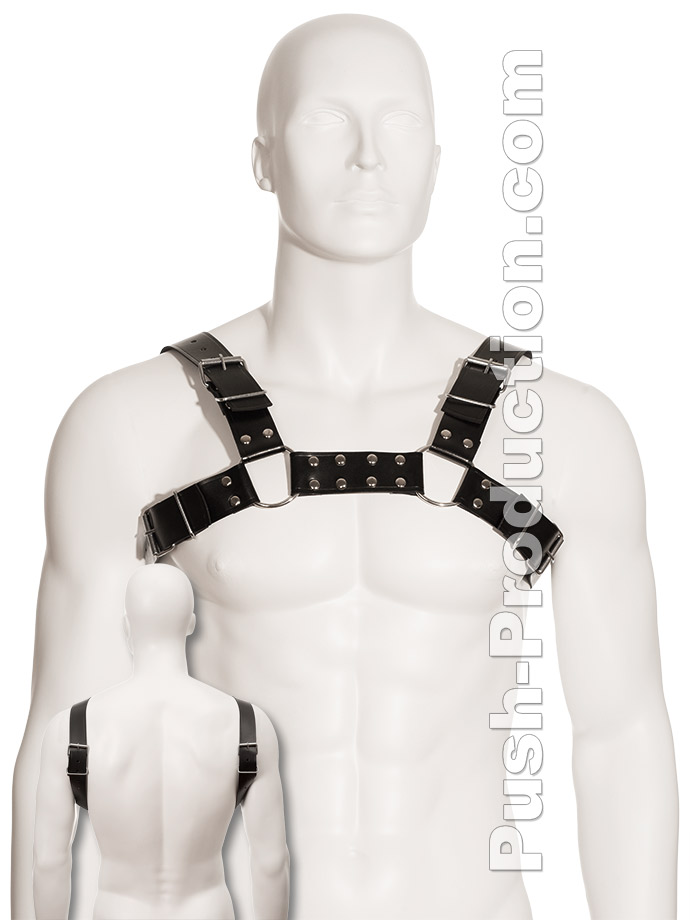 https://www.poppers-italia.com/images/product_images/popup_images/black-bull-dog-harness-leather.jpg