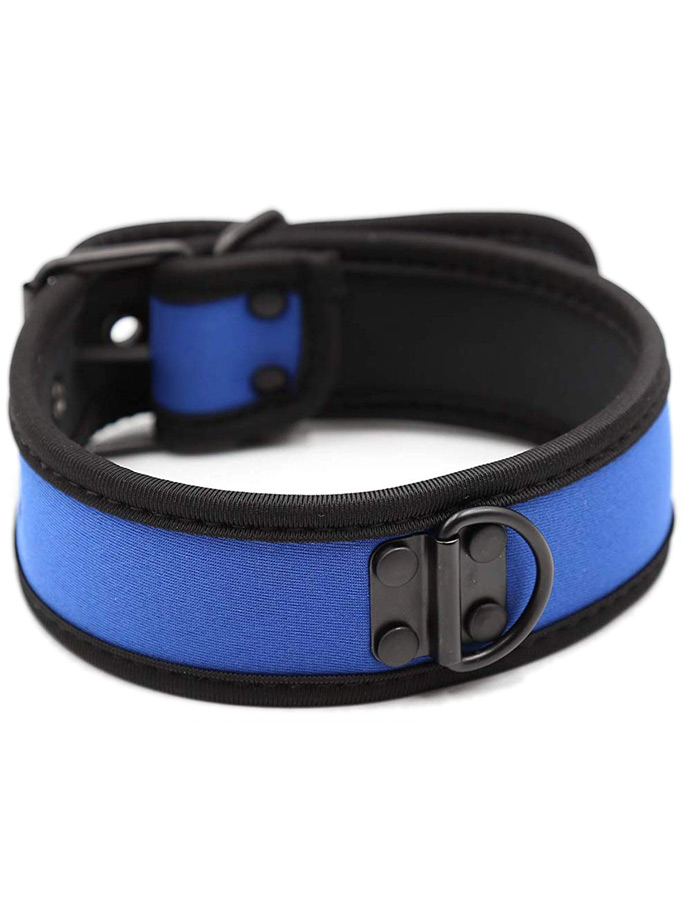 https://www.poppers-italia.com/images/product_images/popup_images/collar-neopren-pupplay-puppy-choker-costume-blue.jpg