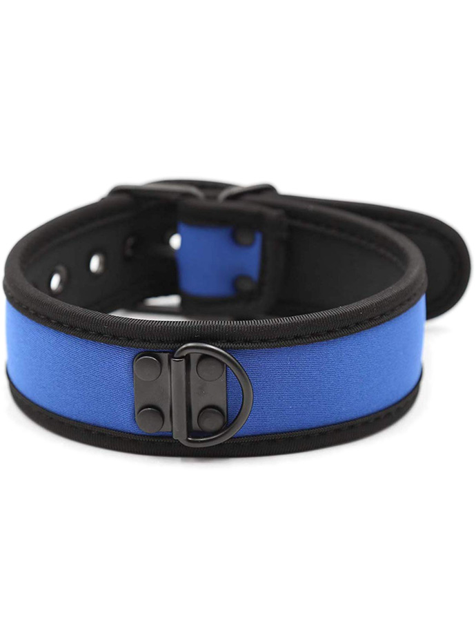 https://www.poppers-italia.com/images/product_images/popup_images/collar-neopren-pupplay-puppy-choker-costume-blue__1.jpg