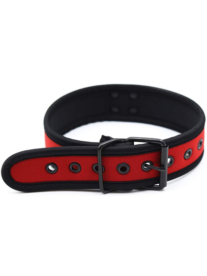 https://www.poppers-italia.com/images/product_images/popup_images/collar-neopren-pupplay-puppy-choker-costume-red__3.jpg