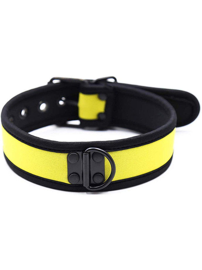 https://www.poppers-italia.com/images/product_images/popup_images/collar-neopren-pupplay-puppy-choker-costume-yellow__1.jpg