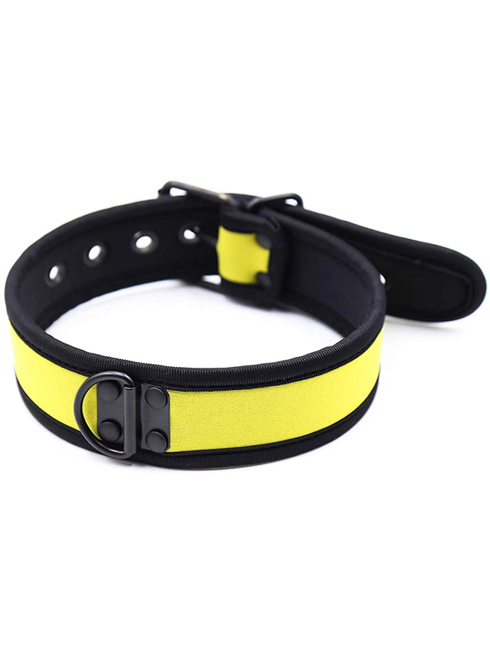 https://www.poppers-italia.com/images/product_images/popup_images/collar-neopren-pupplay-puppy-choker-costume-yellow__2.jpg