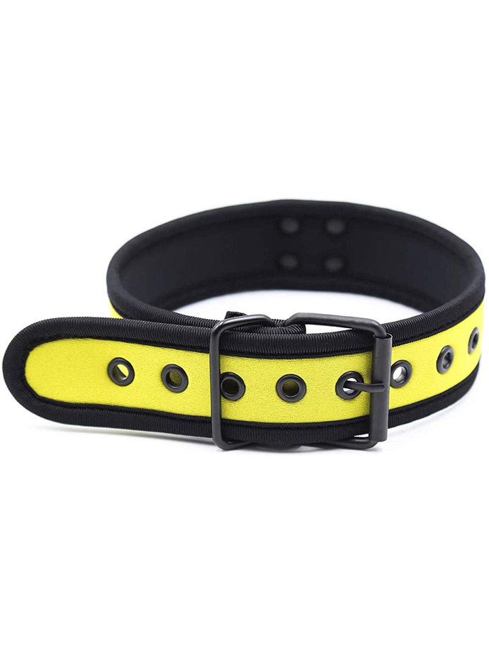 https://www.poppers-italia.com/images/product_images/popup_images/collar-neopren-pupplay-puppy-choker-costume-yellow__3.jpg