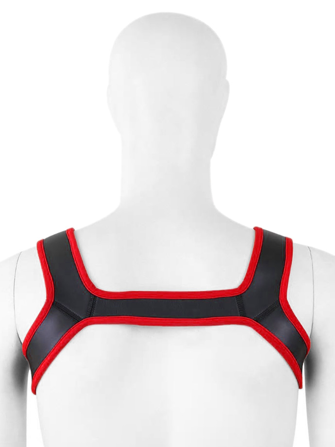 https://www.poppers-italia.com/images/product_images/popup_images/harness-neoprene-shoulder-strap-chest-belt-black-red__2.jpg