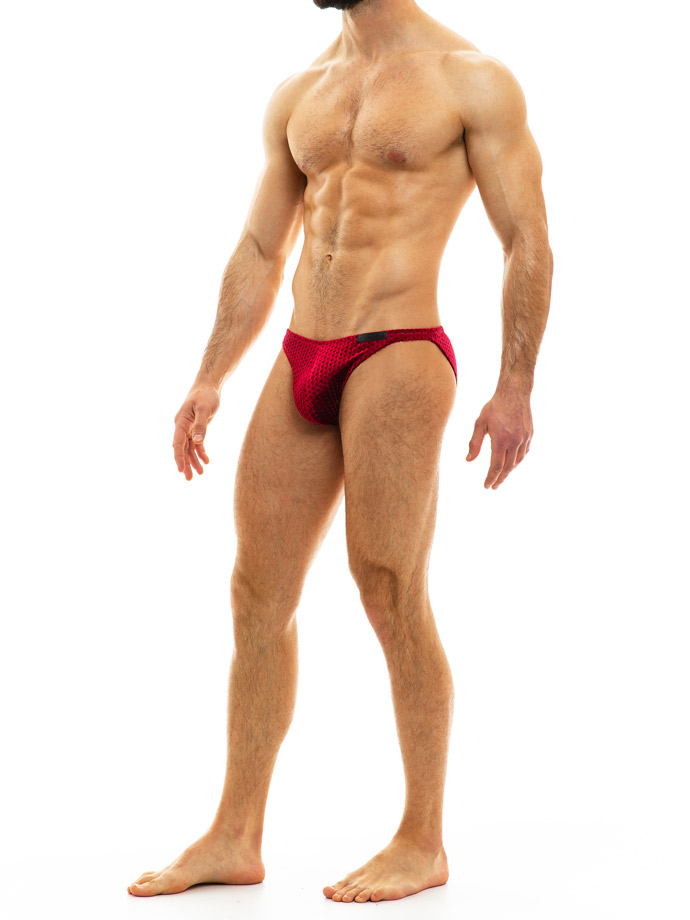 https://www.poppers-italia.com/images/product_images/popup_images/modus-vivendi-tiffany-velvet-brief-red__2.jpg