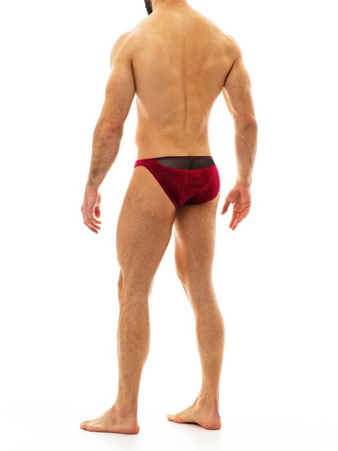 https://www.poppers-italia.com/images/product_images/popup_images/modus-vivendi-tiffany-velvet-brief-red__3.jpg