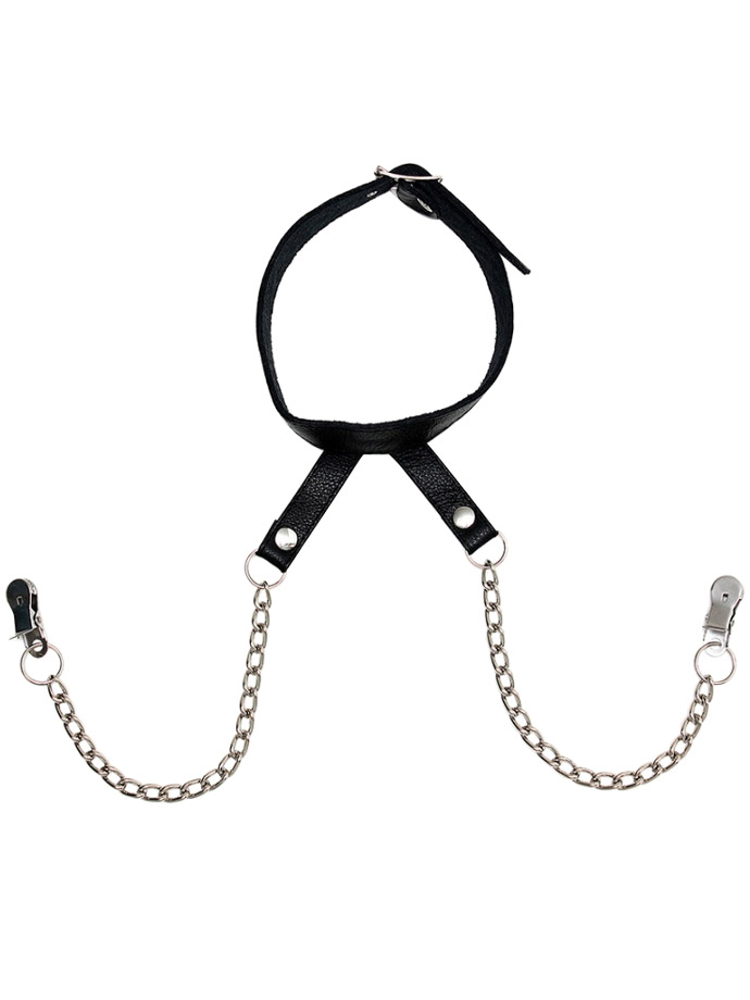 https://www.poppers-italia.com/images/product_images/popup_images/rimba-nipple-clamps-with-chain-and-collar__1.jpg