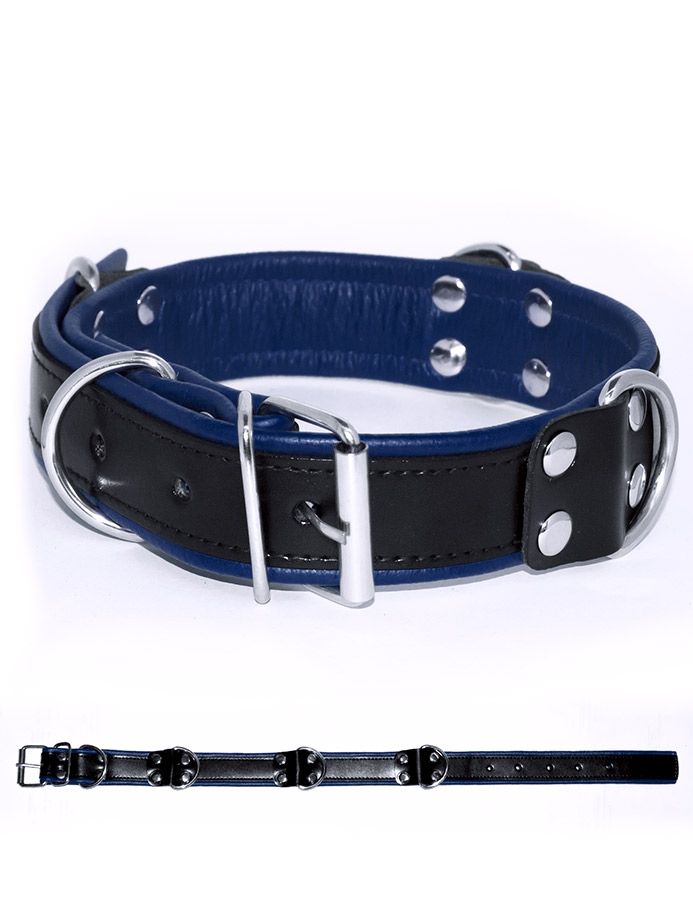 https://www.poppers-italia.com/images/product_images/popup_images/tci-9760-sm-halsband-schwarz-blau.jpg