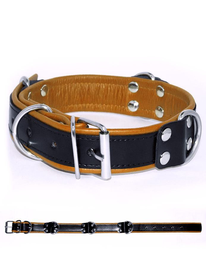 https://www.poppers-italia.com/images/product_images/popup_images/tci-9760c-sm-halsband-schwarz-gelb.jpg