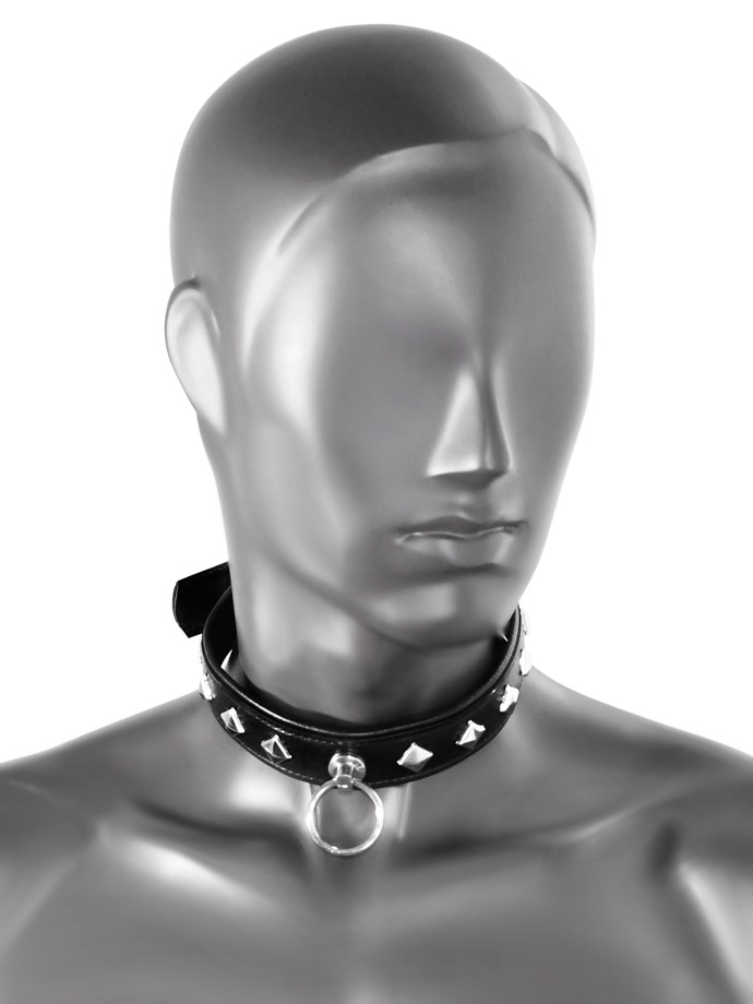 https://www.poppers-italia.com/images/product_images/popup_images/tci-9768-bitch-collar-with-ring__1.jpg