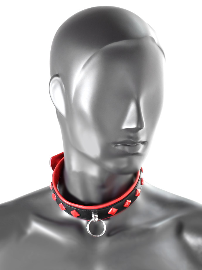 https://www.poppers-italia.com/images/product_images/popup_images/tci-9768-collar-back-red__1.jpg
